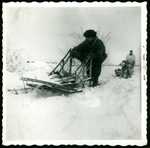 Dog Sled Photo A by Normadeane Armstrong Ph.D, A.N.P.