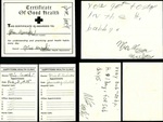 Toy: Deluxe Nurse Kit Papers - 2 by Normadeane Armstrong Ph.D, A.N.P.